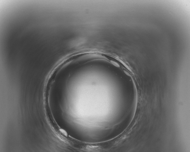 X0000071380055200606301820