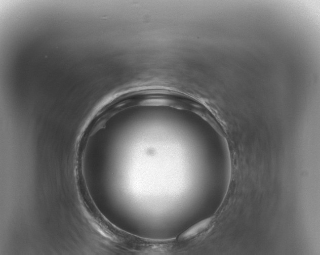 X0000071380056200606301820