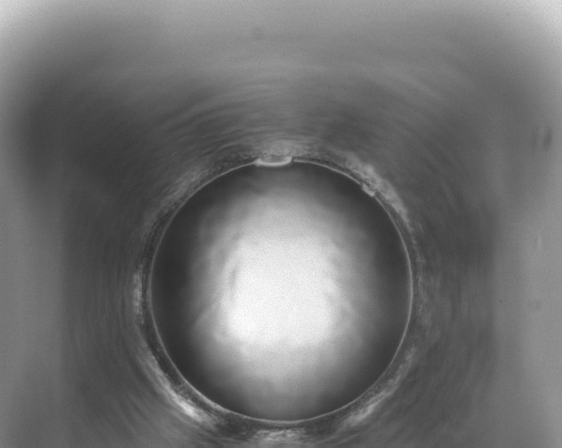 X0000071380057200606301820