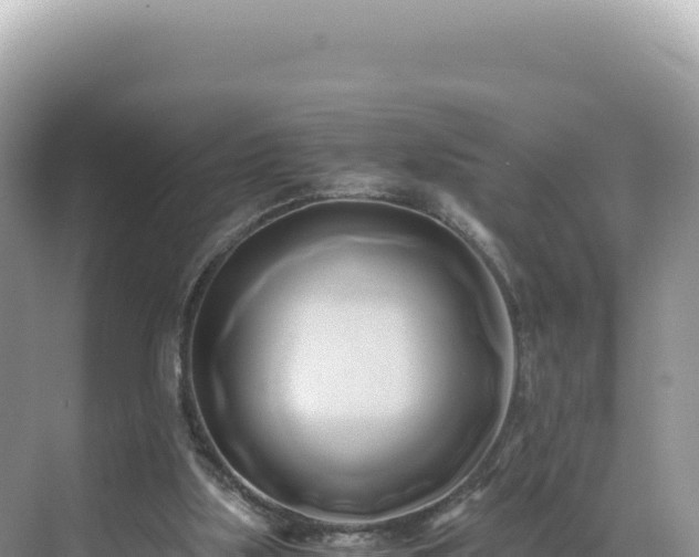 X0000071380059200606301820