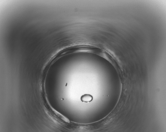 X0000071380060200606301820