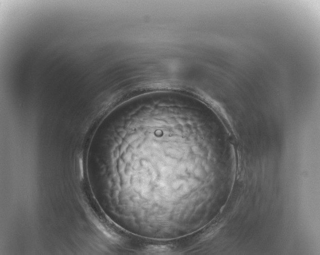 X0000071380061200606301820