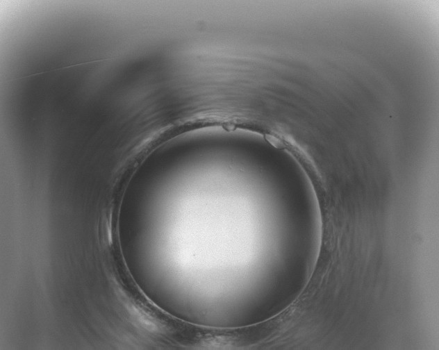 X0000071380062200606301820