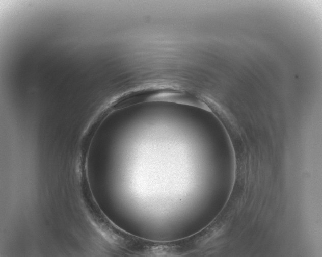 X0000071380064200606301820