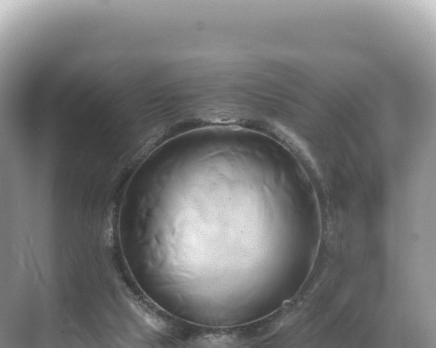 X0000071380065200606301820