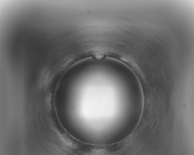 X0000071380066200606301820