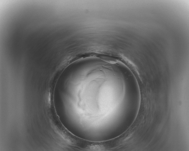 X0000071380067200606301821