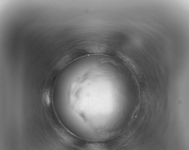 X0000071380069200606301821