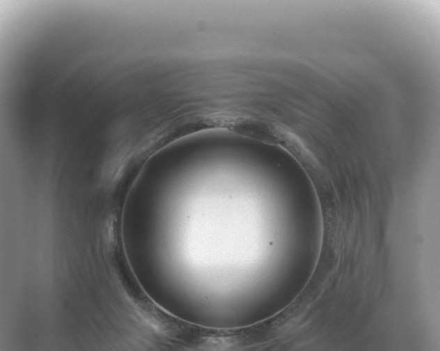 X0000071380071200606301821