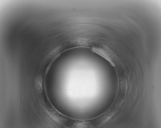 X0000071380072200606301821