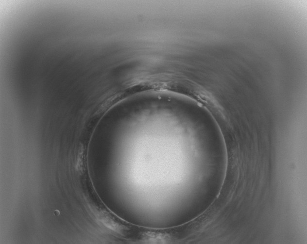 X0000071380073200606301821