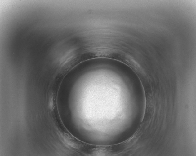 X0000071380074200606301821