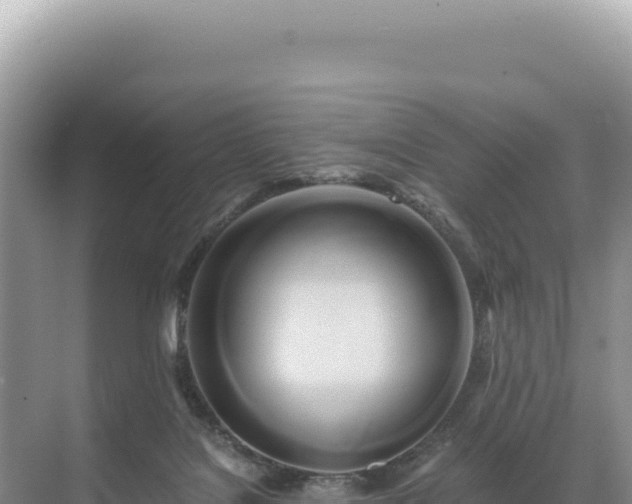 X0000071380076200606301821