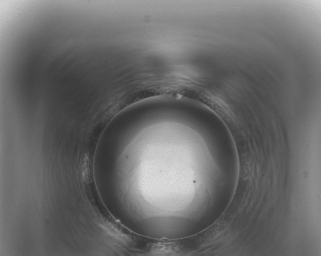 X0000071380077200606301821