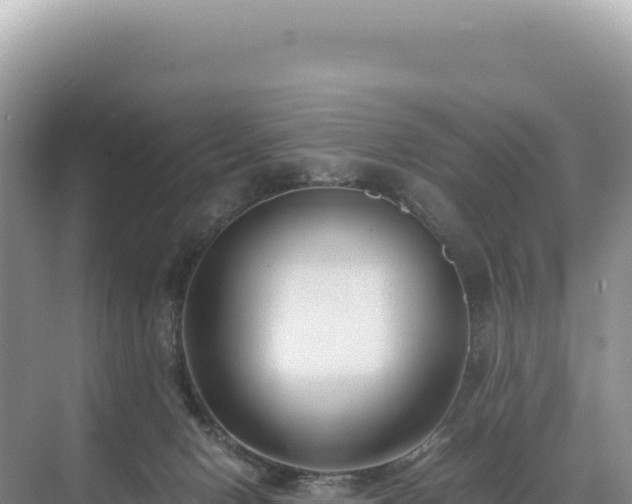 X0000071380078200606301821