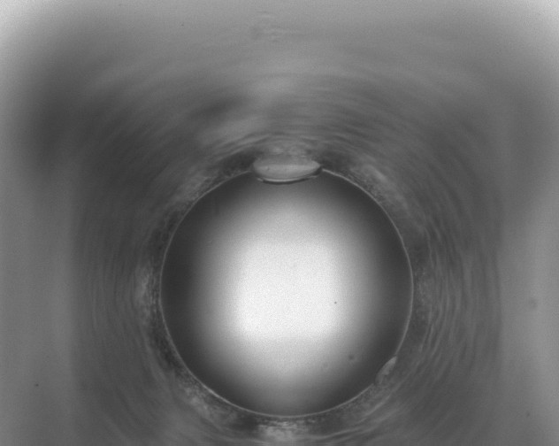 X0000071380079200606301821