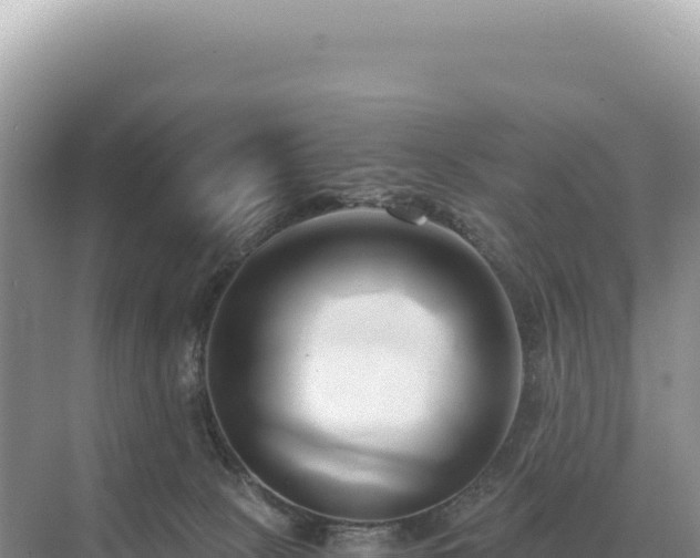 X0000071380081200606301821