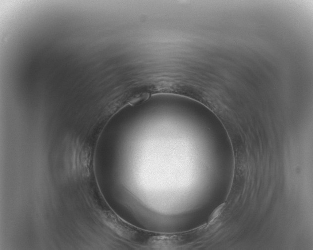 X0000071380082200606301821