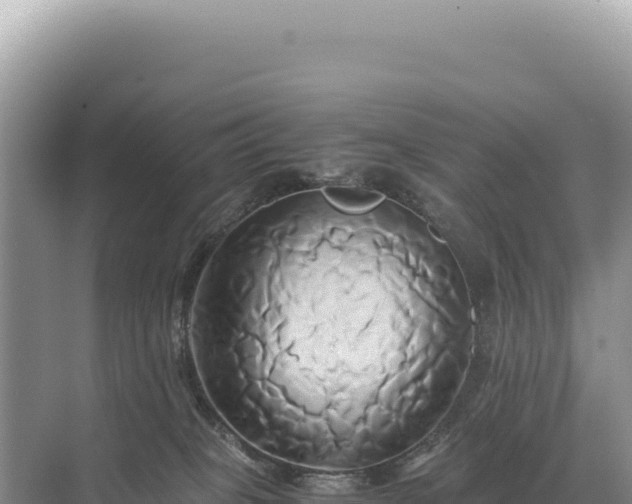 X0000071380085200606301821