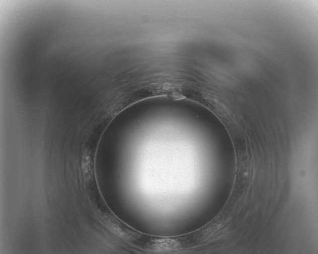 X0000071380087200606301821