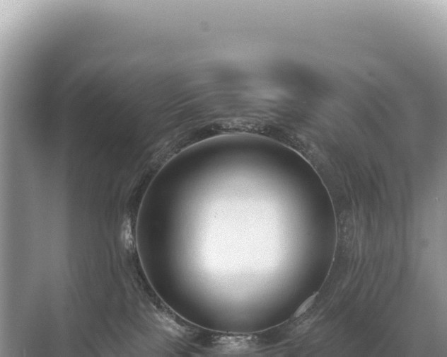 X0000071380089200606301821