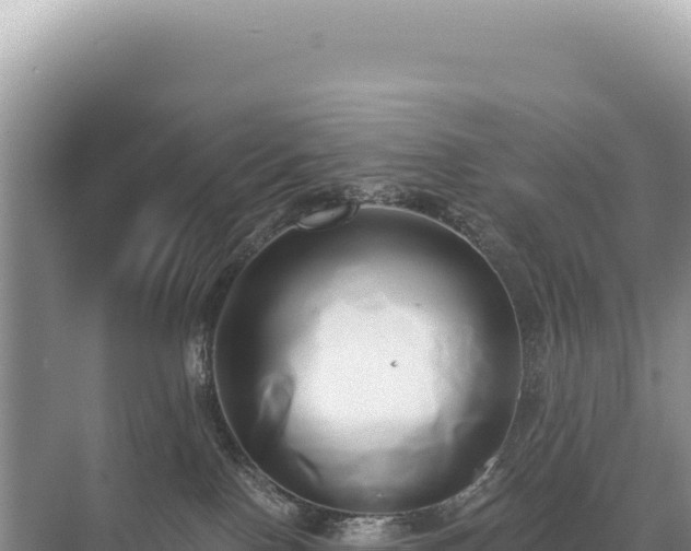 X0000071380090200606301821