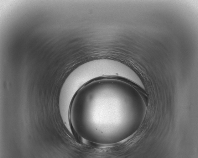 X0000071380096200606301821