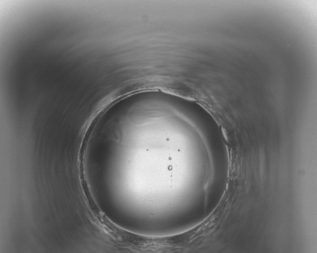 X0000071380099200606301820