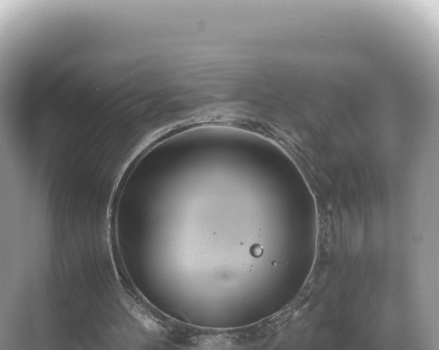 X0000071380100200606301820