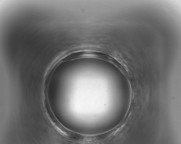 X0000071380101200606301820