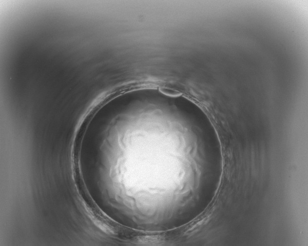 X0000071380102200606301820