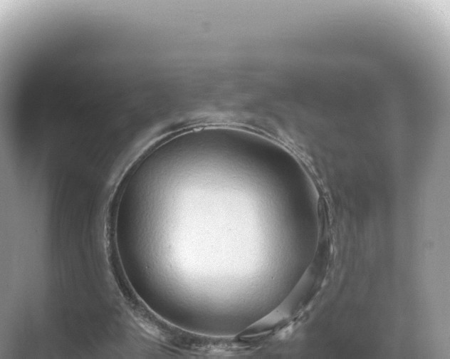 X0000071380103200606301820