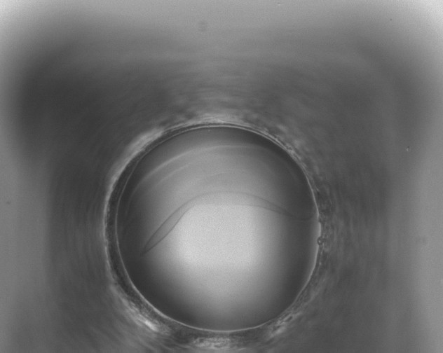 X0000071380104200606301820