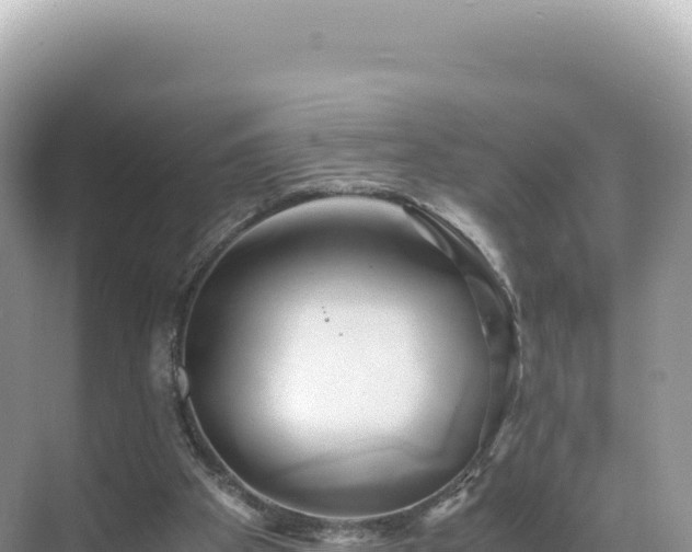 X0000071380105200606301820