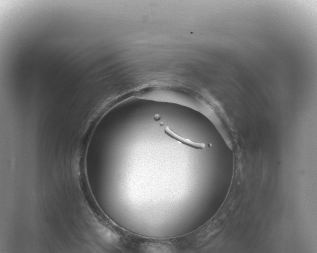 X0000071380106200606301820