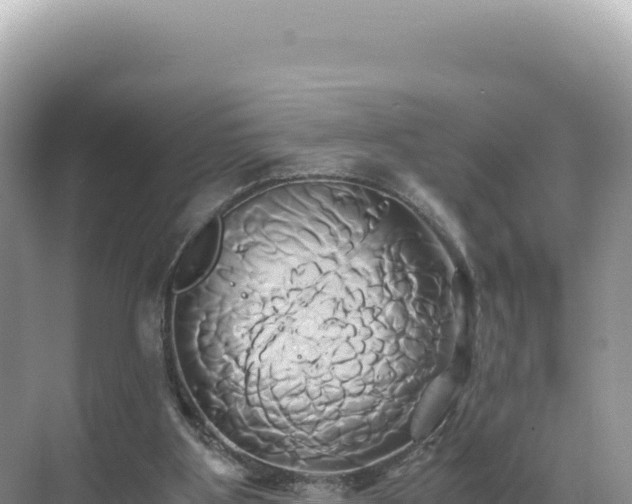 X0000071380107200606301820