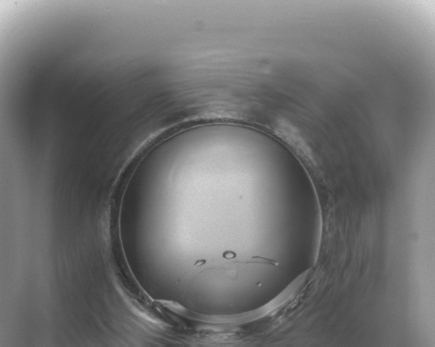 X0000071380108200606301820