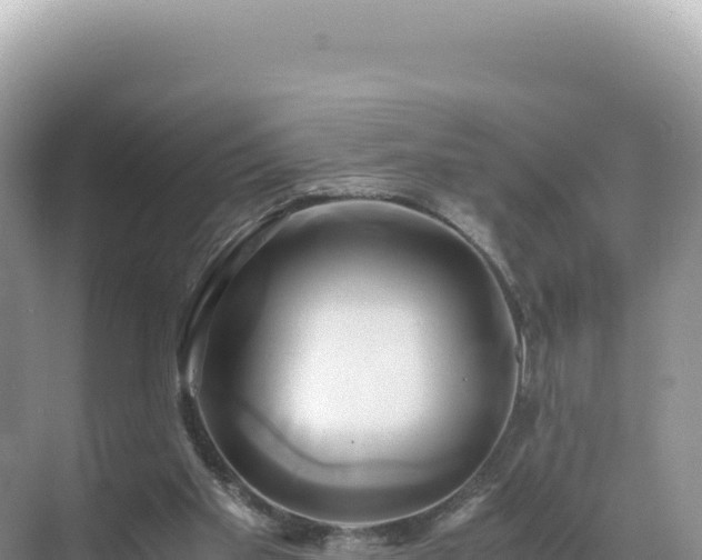 X0000071380109200606301820