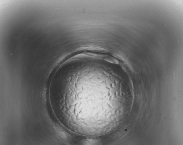 X0000071380111200606301820