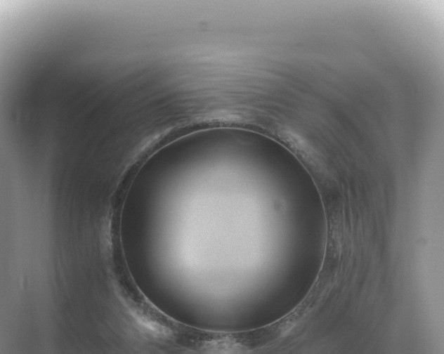 X0000071380112200606301820