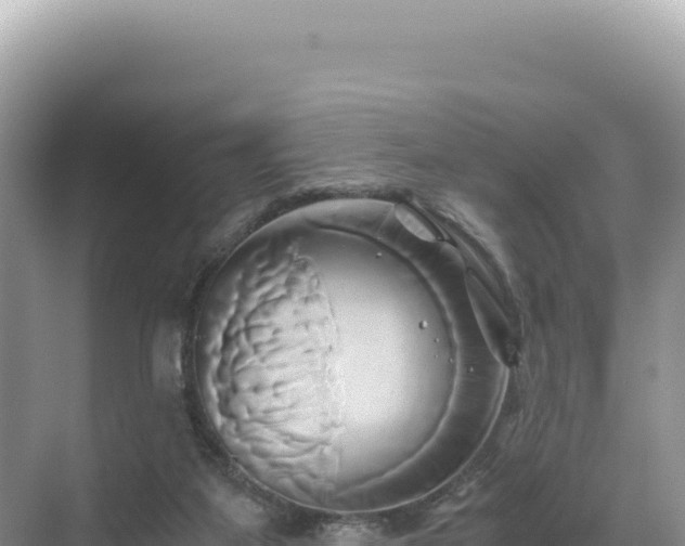 X0000071380115200606301820