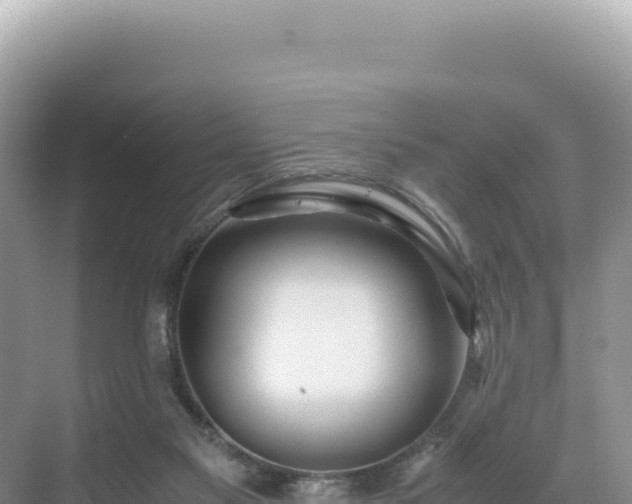 X0000071380117200606301820