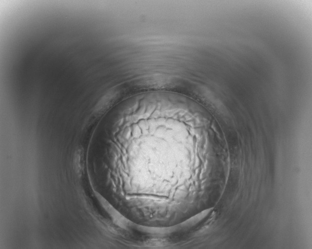 X0000071380119200606301820