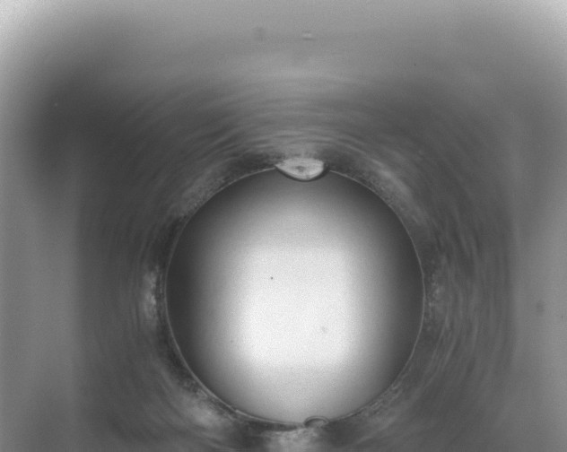 X0000071380122200606301820