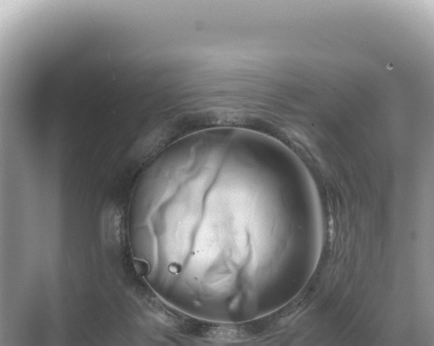 X0000071380123200606301820