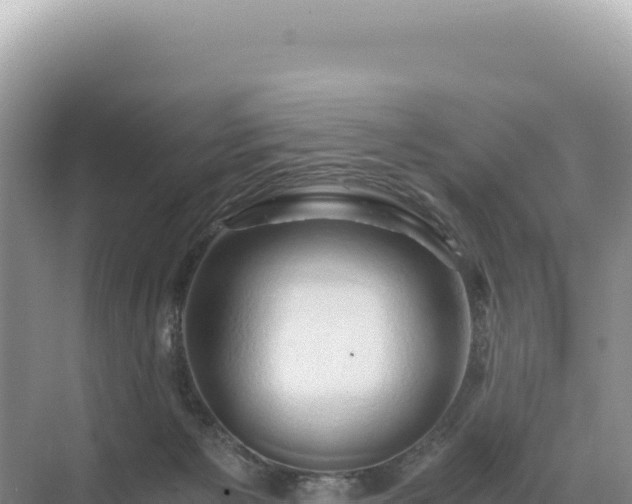 X0000071380125200606301820