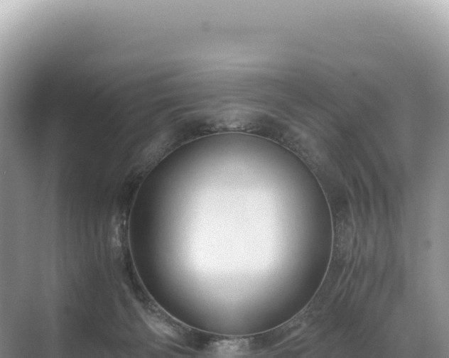 X0000071380126200606301820