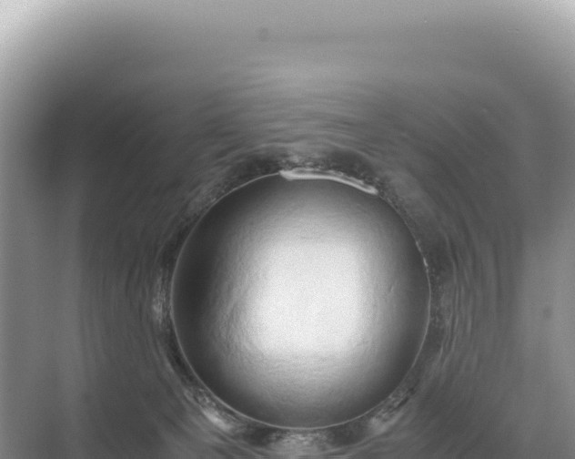 X0000071380129200606301820