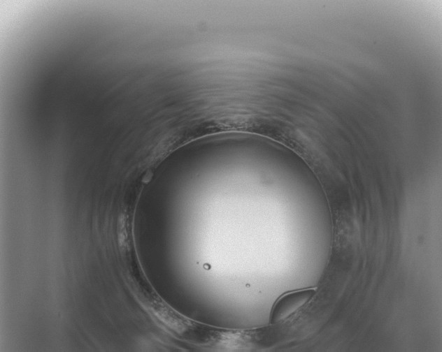 X0000071380130200606301820