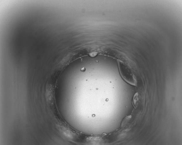 X0000071380133200606301820